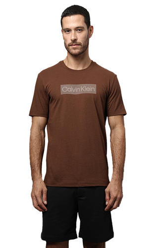 Camiseta Calvin Klein Box Striped Masculina Marrom